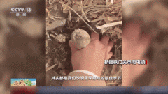 养“海鲜”、采蘑菇、种！“爆改”戈壁太震动