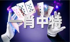2024年奥马49