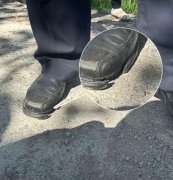 <b>走着走着院士“痴心问稻”断鞋不自</b>