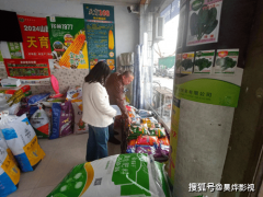 翼城县：强化种子存案登记 规范市场运营次序