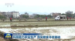 【正在但愿的郊野上】科技帮力农业出产 夯实粮