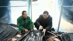 “我们村的羊肚菌、油菜薹丰收哒~~”